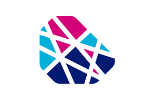 bvn-logo