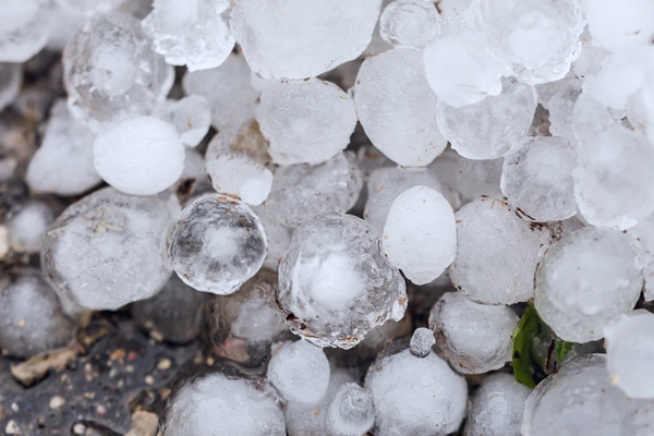 hagel