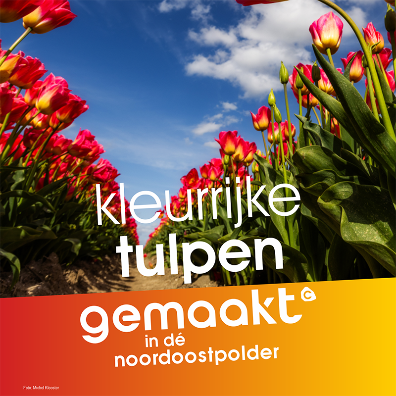 gemaakt in de noordoostpolder