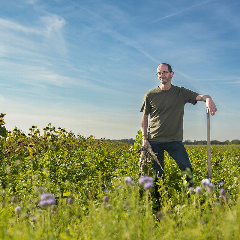 joost-van-strien