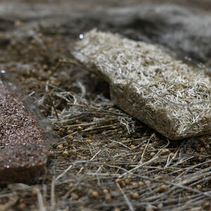 Running Business Nagele